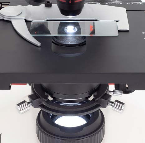 Thumbnail: RED-240IP  Infinity Optical System Binocular Microscope