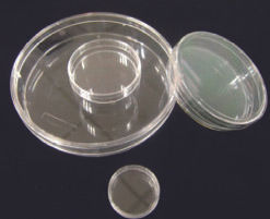 60mm petri dish 20pcs/pack, 500pcs/case