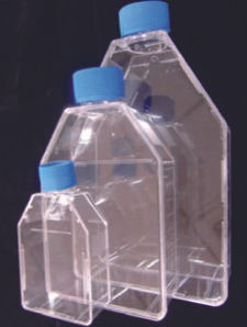 75cm2 Tissue culture flask, seal cap, 5pcs/pack, 100pcs/case