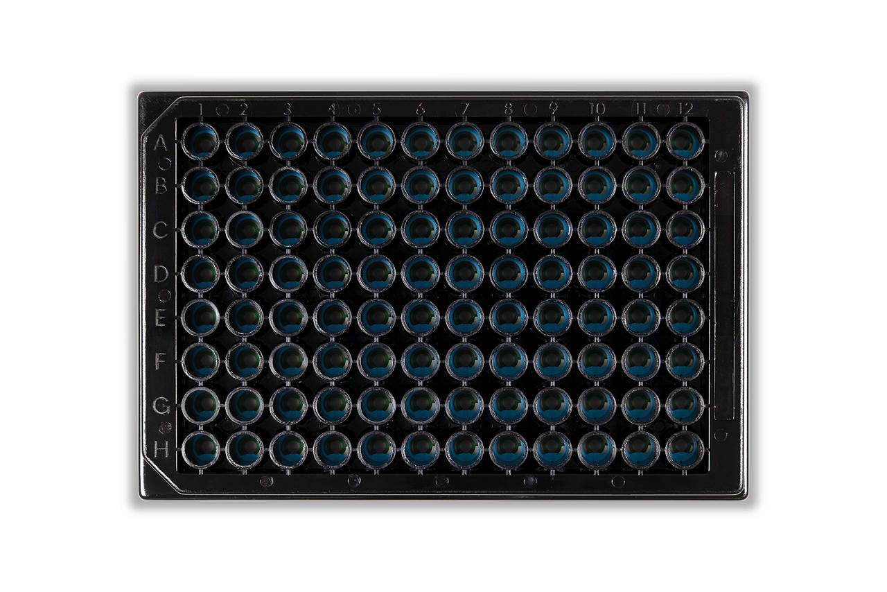 96X Screen-Printed Platinum Electrode