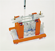 縮圖：4. Pour gel solution, insert combs and allow gel to polymerize.