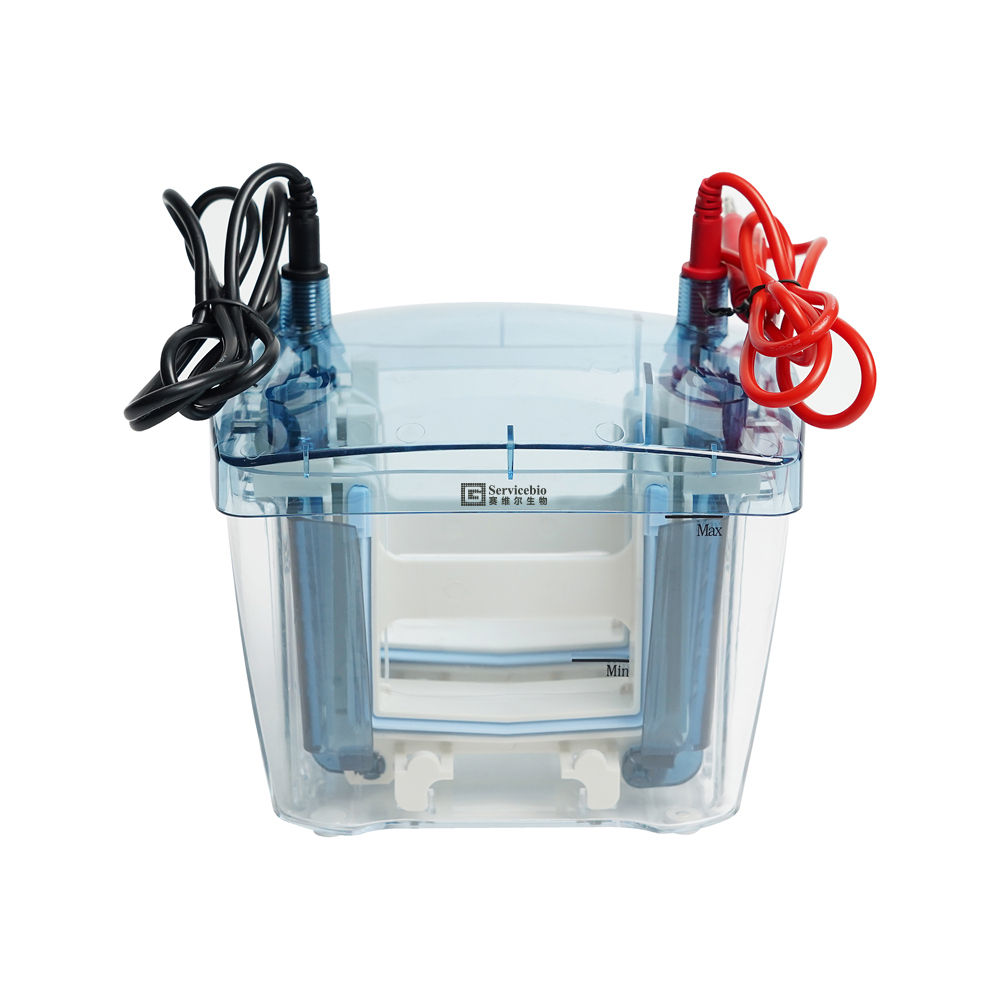 4 Gels Vertical Electrophoresis System