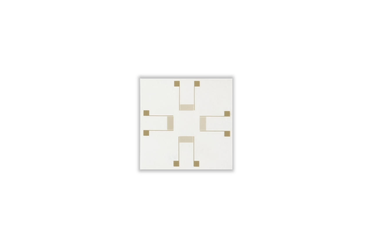 Multi-interdigitated Gold Electrode / 20 microns lines and gaps / Plastic White Substrate