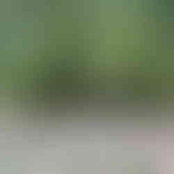 苍山里的珍珑棋局