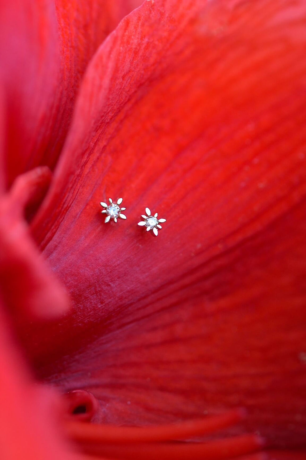 Thumbnail: 14k Gold Diamonds {Edelweiss} Alpine Star Stud Earrings *Bestseller*