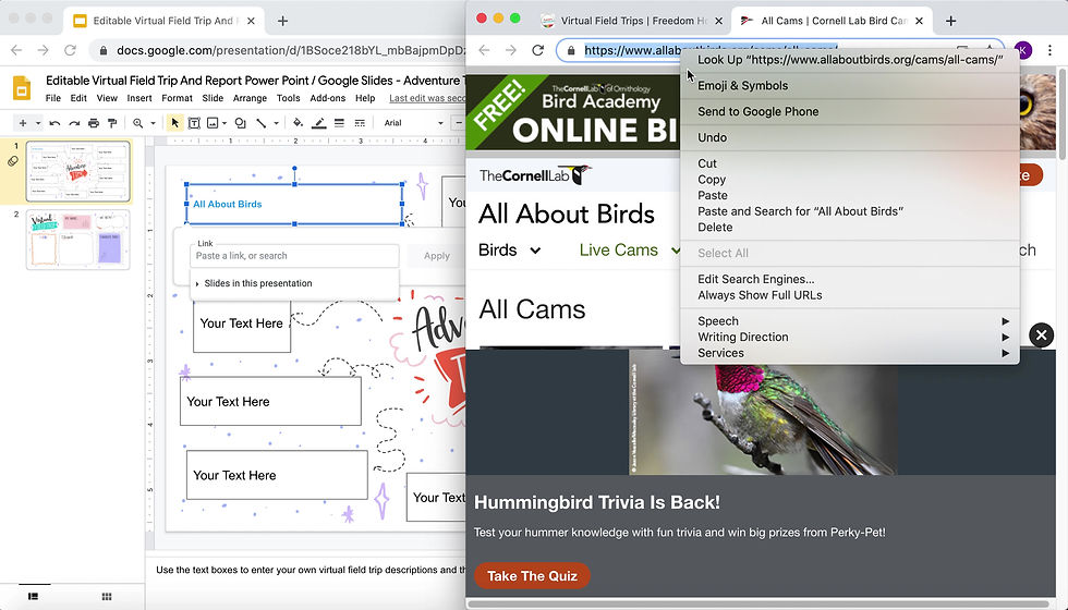Thumbnail: Editable Virtual Field Trip & Report Power Point/Google Slides - Adventure Theme