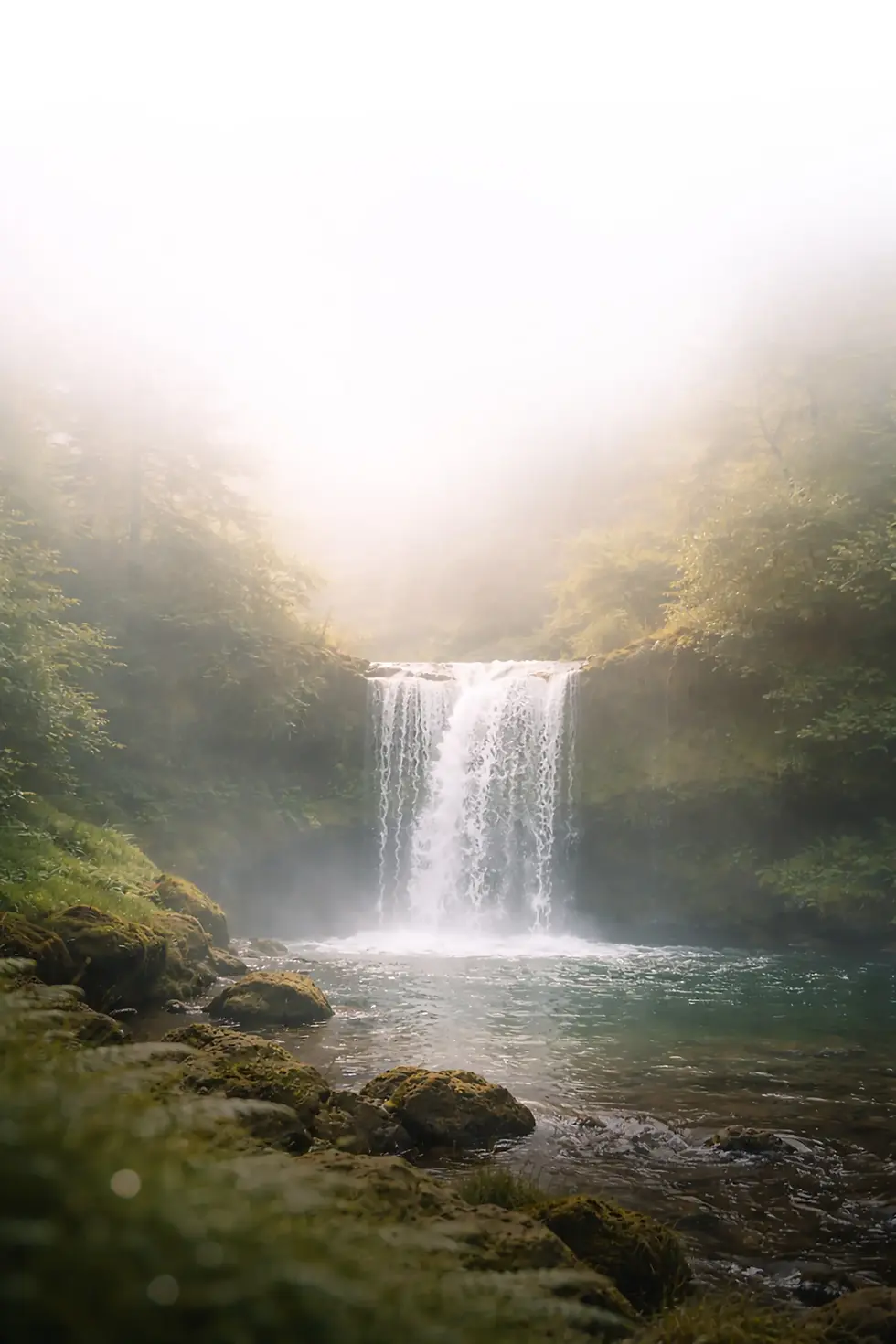 Wasserfall Hintergrund Kopie.webp
