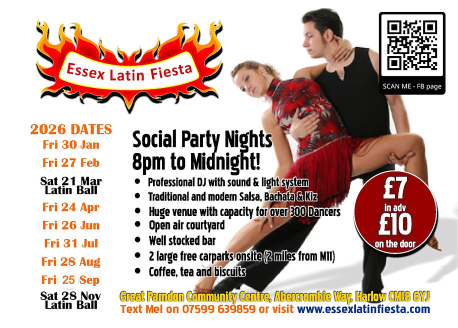 Both Balls Flyer back2_edited_edited.jpg