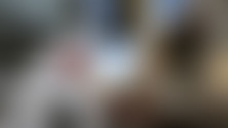 Potencia y Precisión: Cuando la Experiencia de Electromecánica Sasso Mueve la Industria con Gevisa