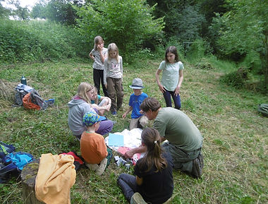 20062024 (17).JPG