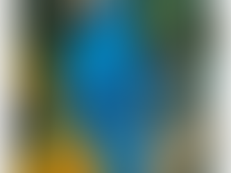 From Workshop to Canvas: meet Pete Parrot 🦜