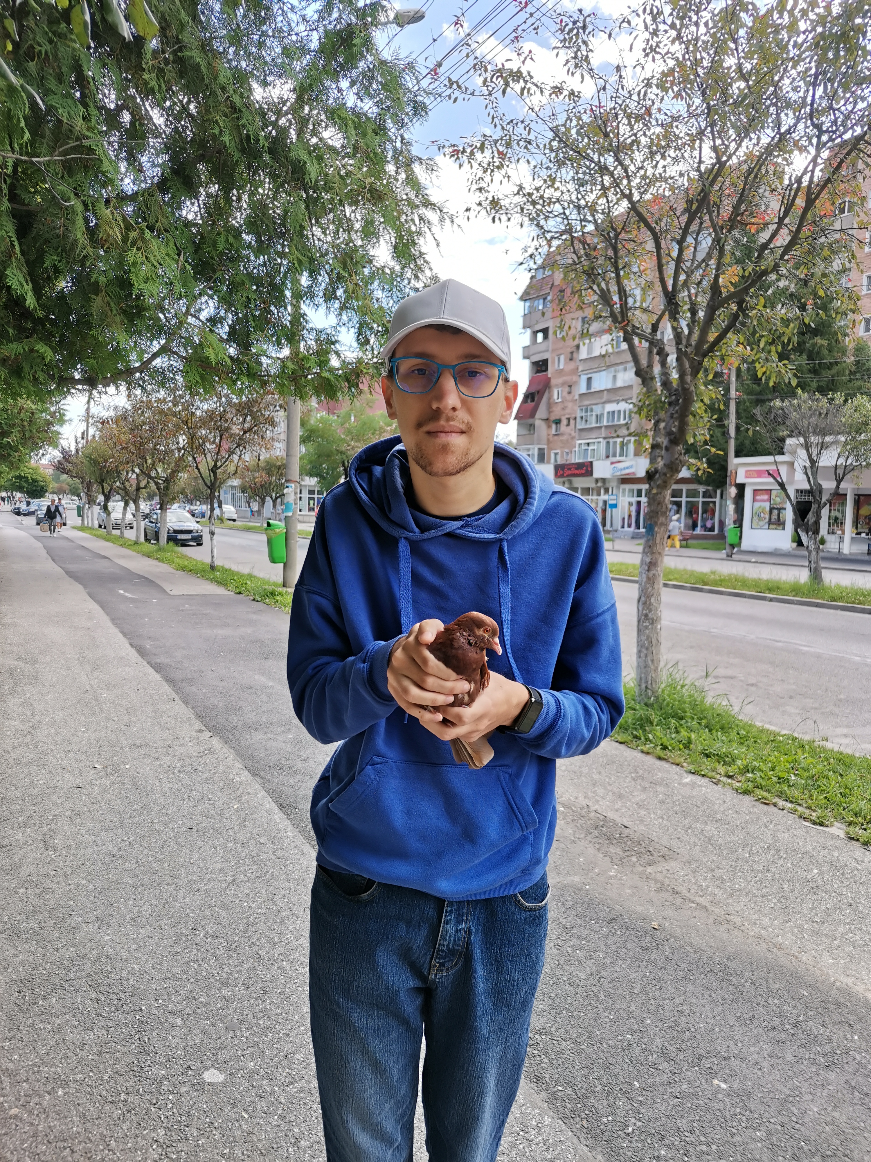 Writer: Chiciudean David Bogdan 