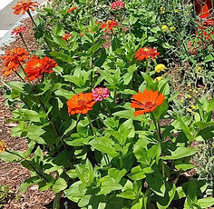 WCGT Comm Ave3 08_2026_edited.jpg