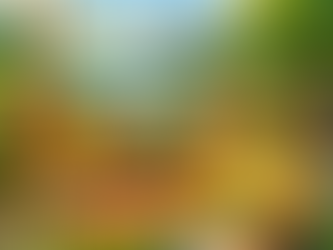 The Four-Day Workweek