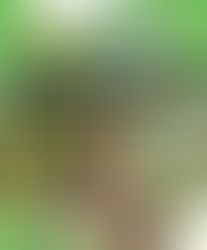 WORLD WILDLIFE DAY 2020