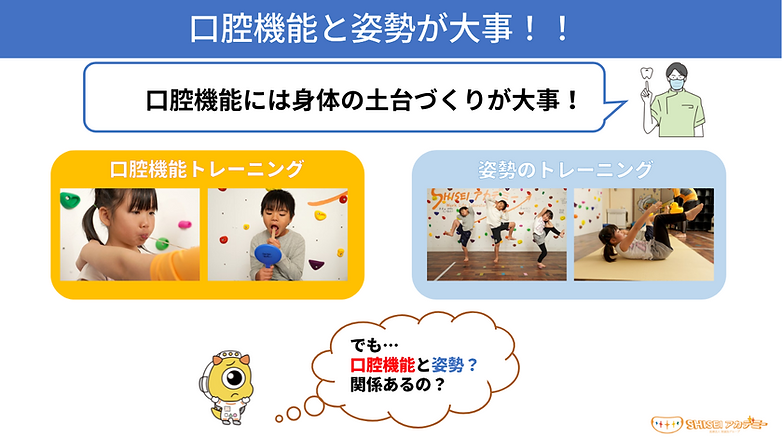 歯並びと姿勢の繋がり.pdf.png