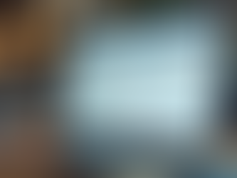 Garden Digital: Uma Nova Abordagem ao Marketing