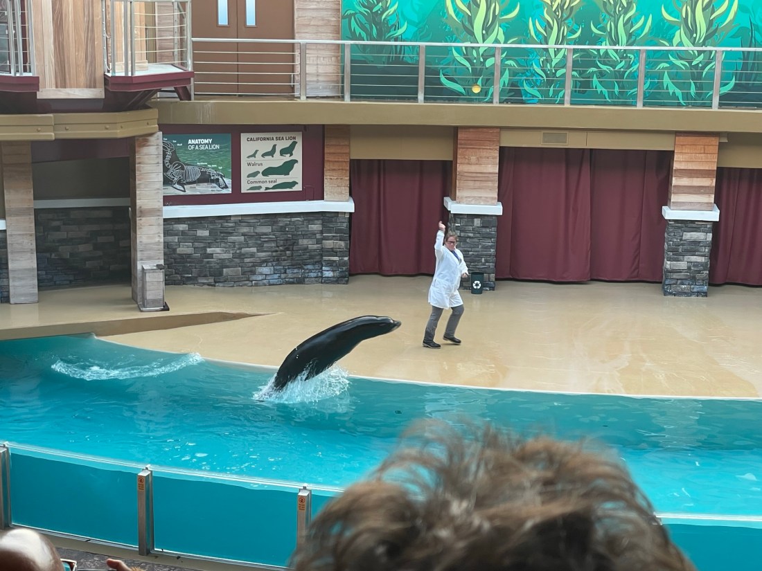 SeaWorld Orlando Show