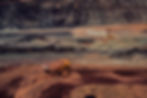 Land Mining_edited.jpg