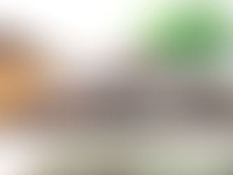 Debunking the “Raisin Theory” – How to Engage Parents to Drive Participation