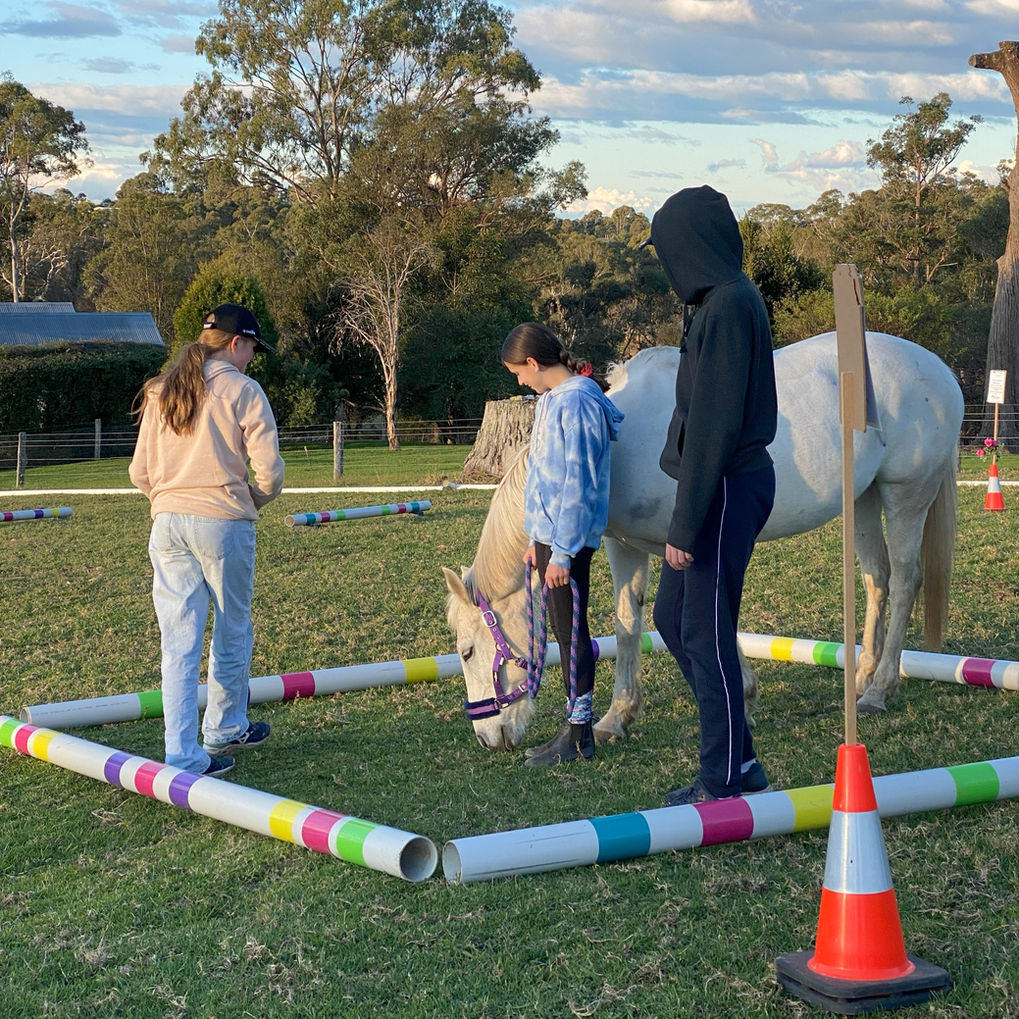 clients in group counselling session
