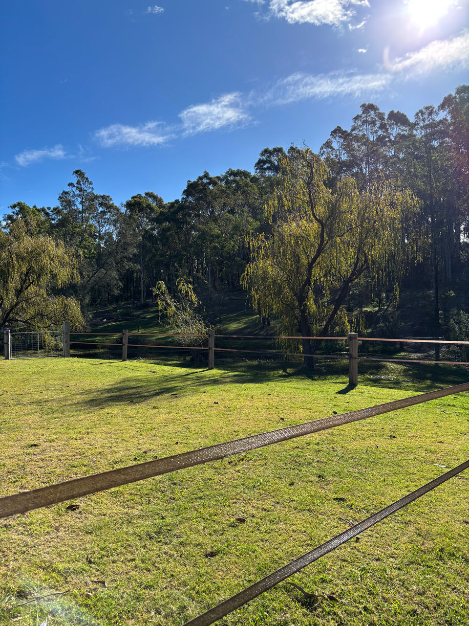 Outdoor counselling space at Renew in Mogo