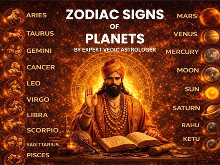 Vedic Astrologer