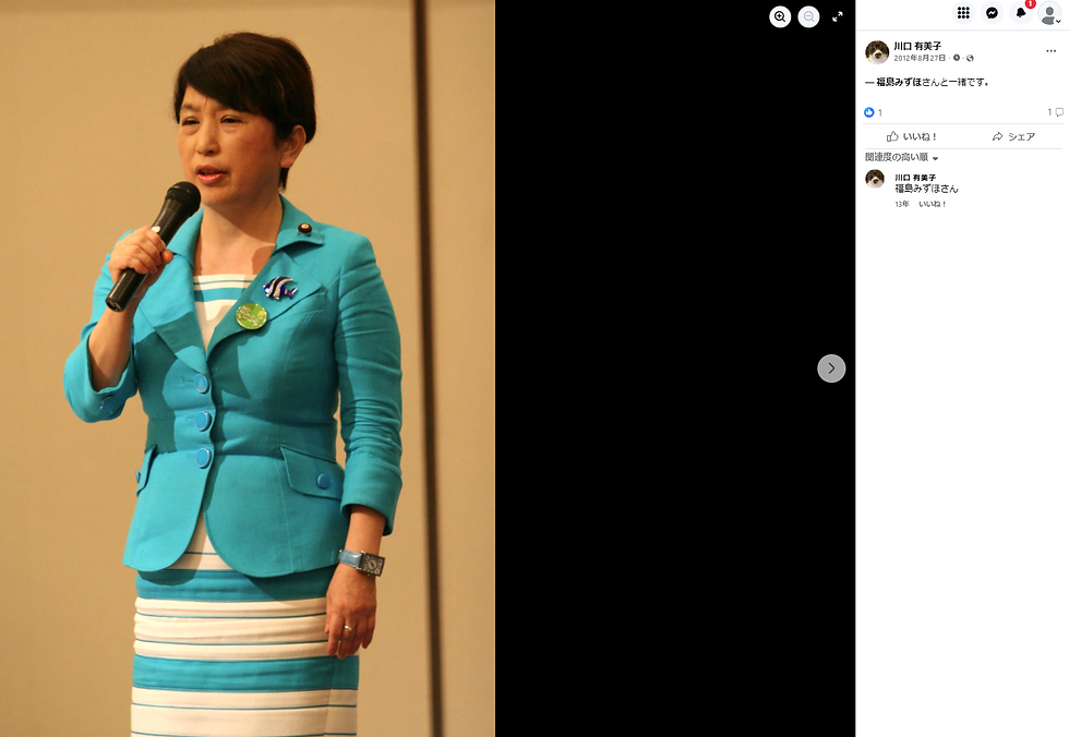 「尊厳死の法制化を認めない市民の会」に出席した、社民党党首、福島 瑞穂