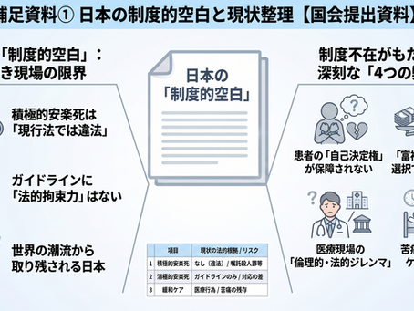 インフォグラフィック画像:補足資料① 日本の制度的空白と現状整理