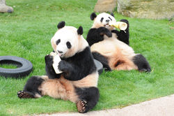 タケノコだいすき♡