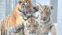 RYO_3381_edited_edited.jpg