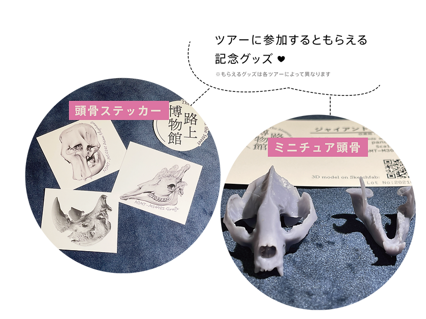 ノベルティ.png