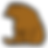 バンドウイルカ.png