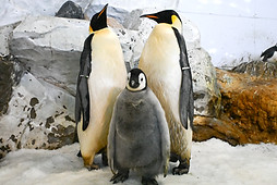 WBS_6984_edited.jpg