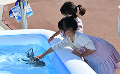 ロボット.jpg