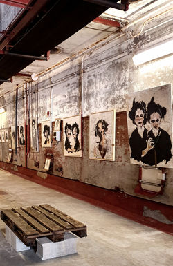 Art Singuliers ...S Canaules