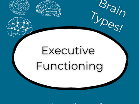 Executive Functioning; Why Doesn't Mine Work?