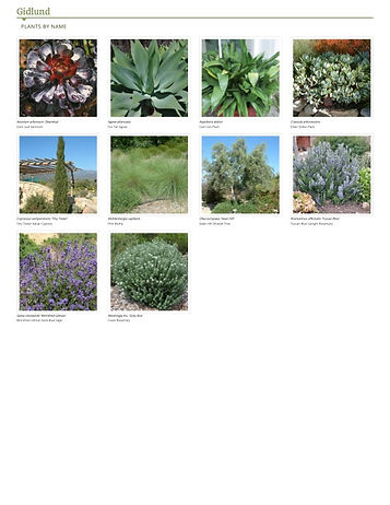 Plant images and names