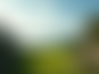 How to Design a Landscape That Maximizes Waterfront Views