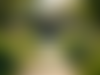 Incorporating Local Charm into Outdoor Designs