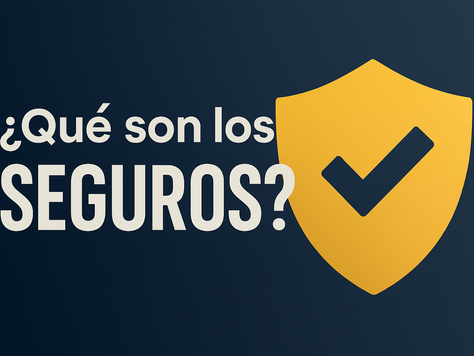 ¿Qué son los Seguros?