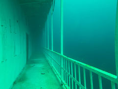 Underwater Photo