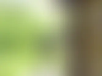 Vai morar sozinho? Confira 8 dicas para mobiliar um apartamento em 2024