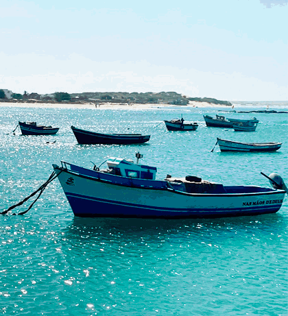 A&V Tours | Boat & Plane Tickets | Boa Vista Island, Cape Verde