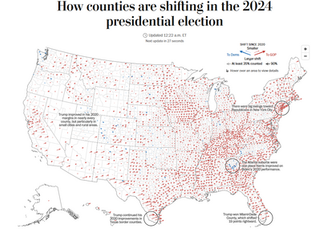 Election 2024 Post-Mortem