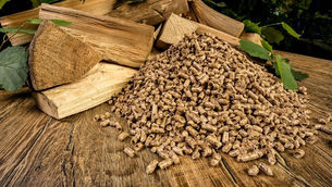 With a high consumption market, the export price of wood pellets is forecasted to decrease in 2023