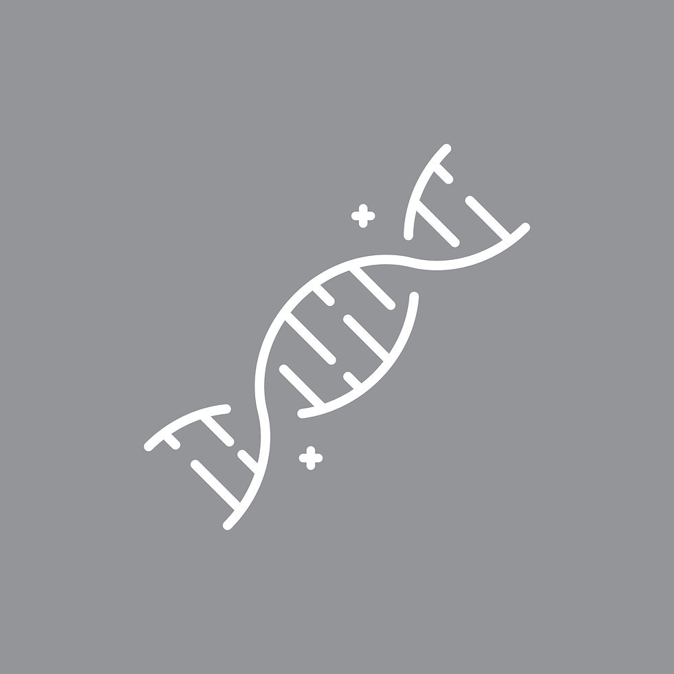 Bioestimulador