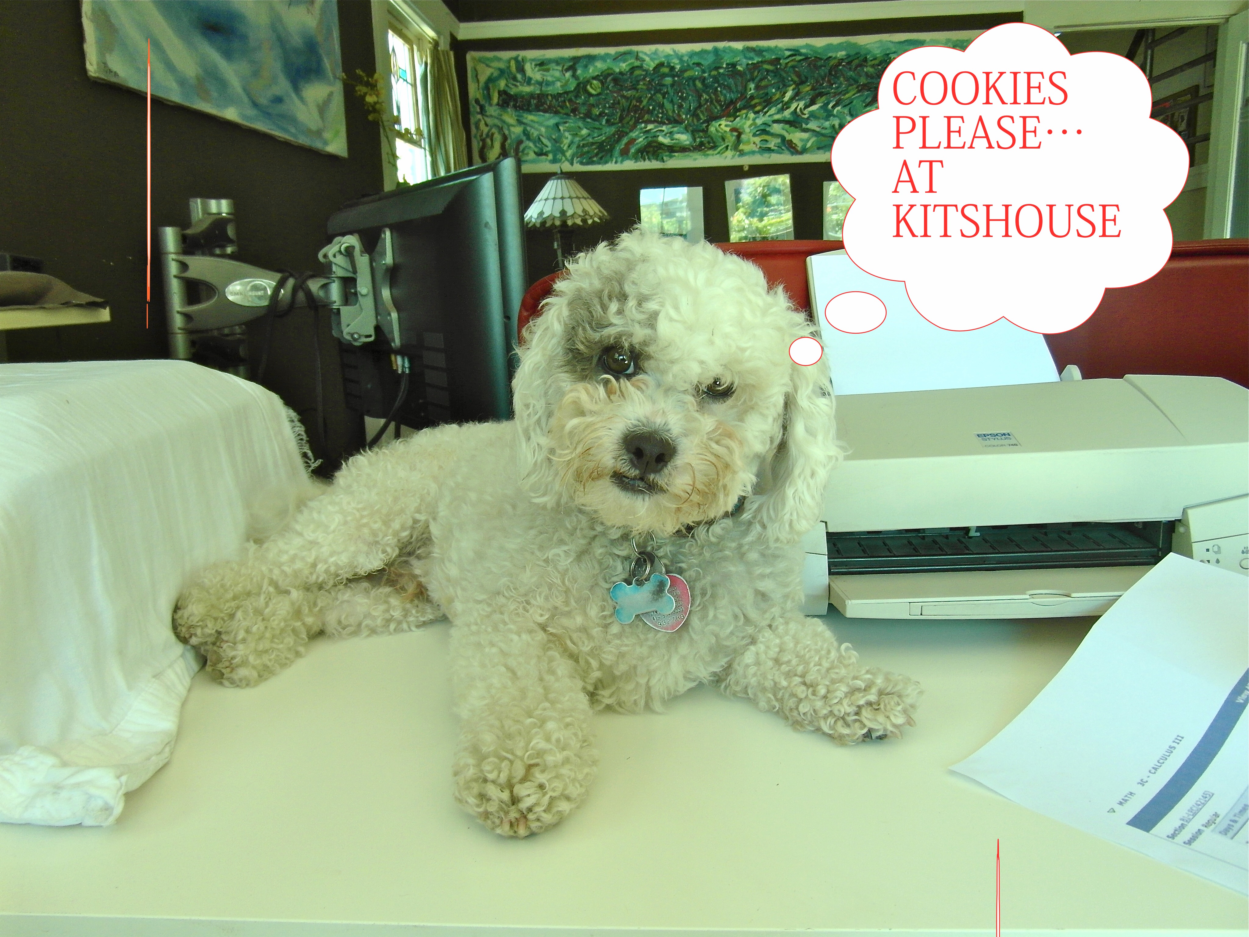 Doggy Doggy at Kitshouse