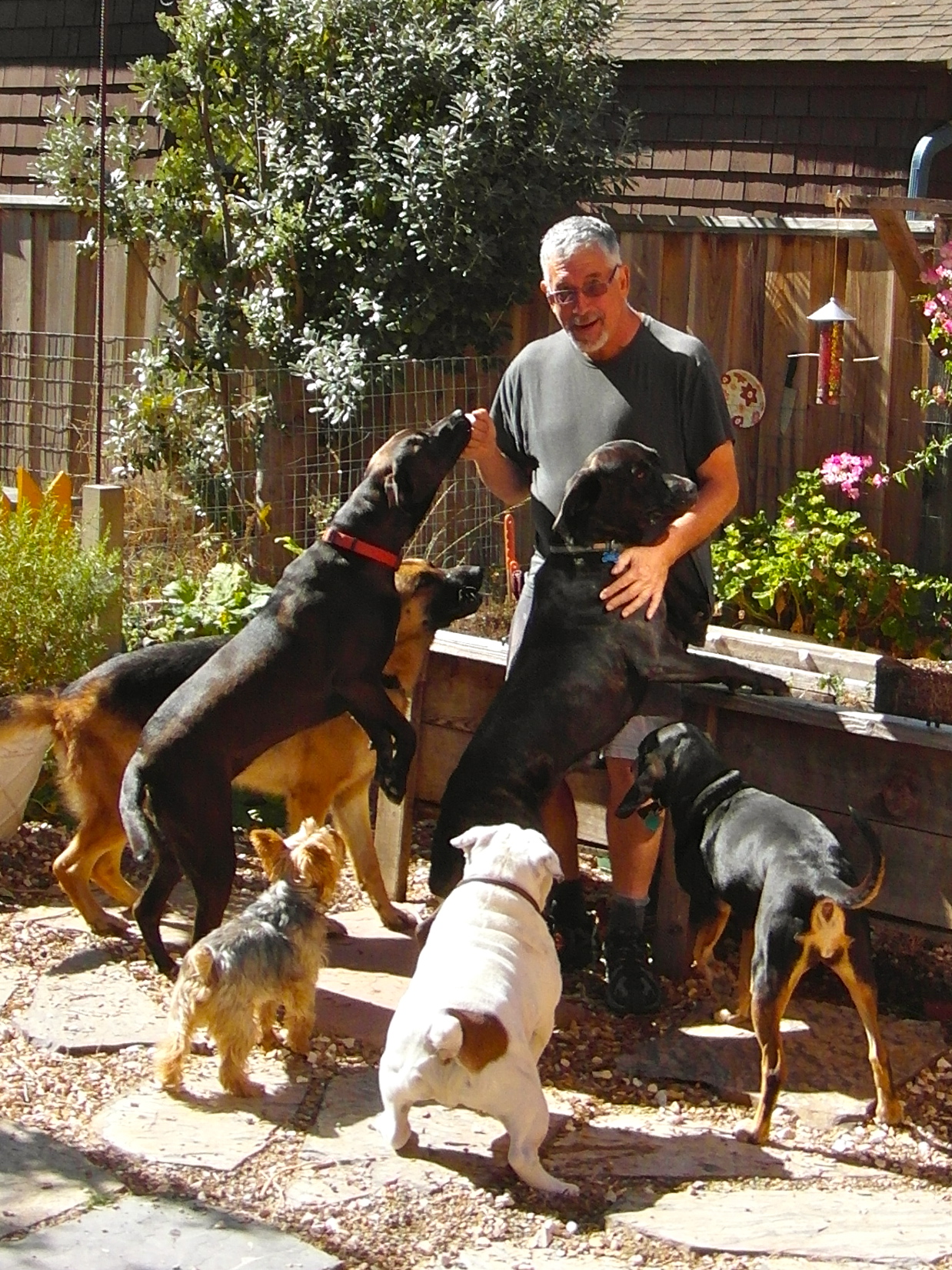 Doggy Doggy at Kitshouse