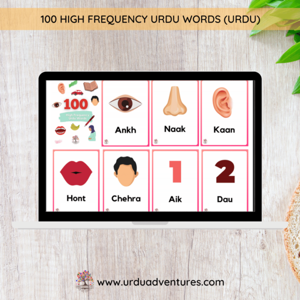 Thumbnail: 100 Urdu High Frequency Words  (Flash Cards + Checklists)